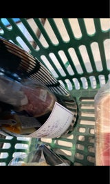 グラスパロッサディ カステルヴェトロ 750ml