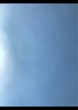 越のむらさき 1L