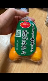 四国 真穴みかん 袋入
