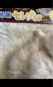 マルカン 抗菌セレブ毛布 レギュラーのレビュー画像
