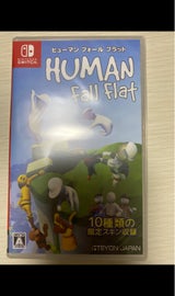 ヒューマンフォールフラットSwitchパッケージ版