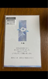 フロンティア 喪中はがき MPC-053