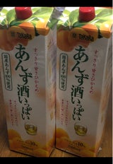タカラ あんず酒いっぱい パック 2L