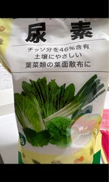 朝日工業 尿素 700g