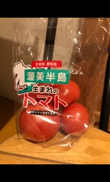 イシグロ 大玉トマト愛知県産 500g