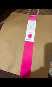 シナップス　ペーパーバッグクラフト無地ＬＬ　２Ｐの商品写真