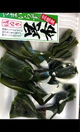 勝山水産 昆布 4本