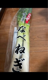 JA福島 ねぎ 500g