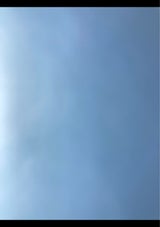 小嶋屋 布乃利小嶋屋そば 10P