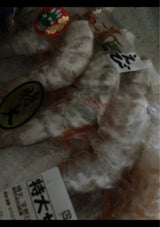 北島 ホワイトエビ8/12 10尾