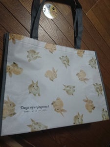 シナップス・ジャパン　不織布コーティグバッグ　Ｌの商品写真