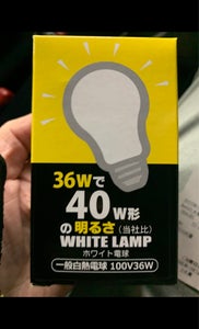 東洋　ホワイトフロスト電球一般白熱　３６Ｗの商品写真