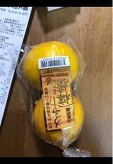 名果 メイヤーレモン