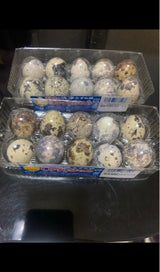 ウズララン 30コイリ