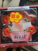 正和 桜んぼセット 5個