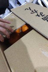 JAにしうわ 八協みかん 5kg