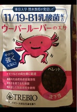 吉田飼料 トレビオウーパールーパーのエサ 25g