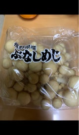 一実屋 ぶなしめじ