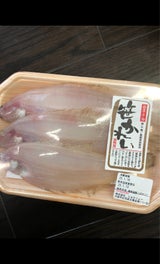 橋本 笹かれい 3尾