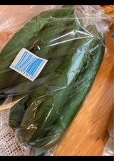 遠興 サンボードン お徳用胡瓜