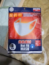 グローバルジャパン ホットフィットマスク グレー