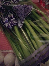 NIC 茨城産こまつな 1P