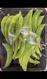 大松青果 オレンジ 6個