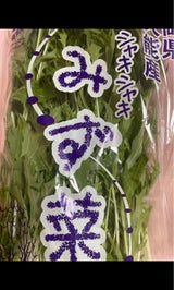 牧包装 静岡久能みず菜