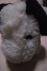 ロングポーチ SN 160386-21