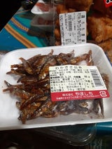 東レ イクシーズ IX195-11-50