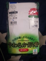 グンゼ ブリーフ L 2P SV61302