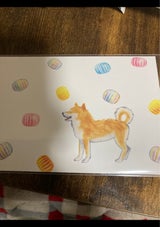 しばいぬと春ポストカード F01-PU-91