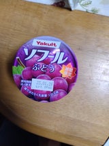 ヤクルト ソフール ぶどう 期間限定 100g
