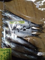 かねこ いわし丸干袋入 7尾