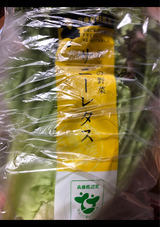 豊岡中央 サニーレタス兵庫産 9P