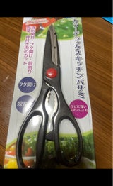 ビックスワロー DXキッチンバサミブリスター 1P