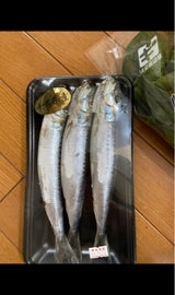 飯田 いわし丸干し 3尾