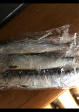 カネヤ 真いわし丸干 8尾