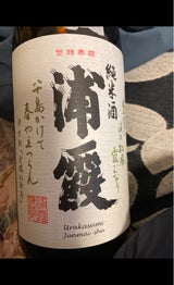 浦霞 純米酒 瓶 1.8L