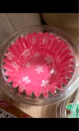 住軽 季節のお弁当ケース深型8号 28枚