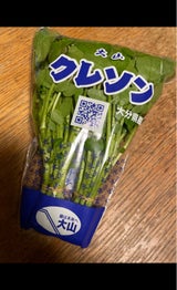 JA大山 クレソン 60g