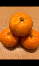 藤本物産 はなまるみかん