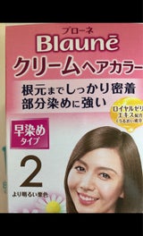 【送料無料】★まとめ買い★　花王　ブローネクリームヘアカラー　２　より明るい栗色　80ｇ　×24個【イージャパンモール】 ブローネ クリームヘアカラー 2 より明るい栗色（花王）の口コミ