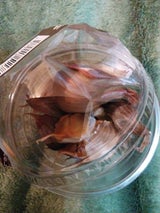 全農青森 黒にんにく 1P