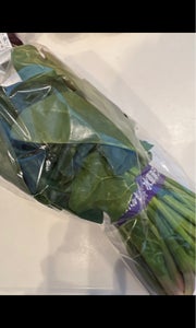 商品イメージ
