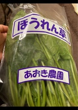 石本マオラン 青木農園 ほうれん草