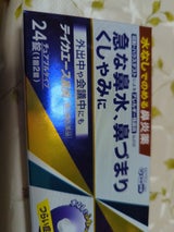 テイカエース鼻炎 24錠