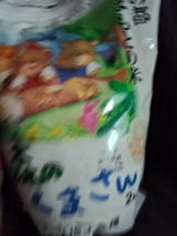 坂本 森のくまさん 2kg