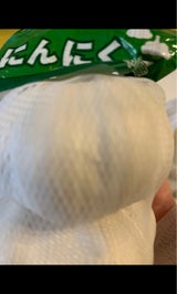 豊栄 筍水煮 300g