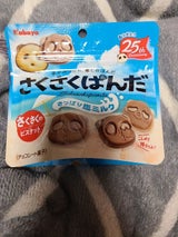 カバヤ さくさくぱんださっぱり塩ミルク 47g